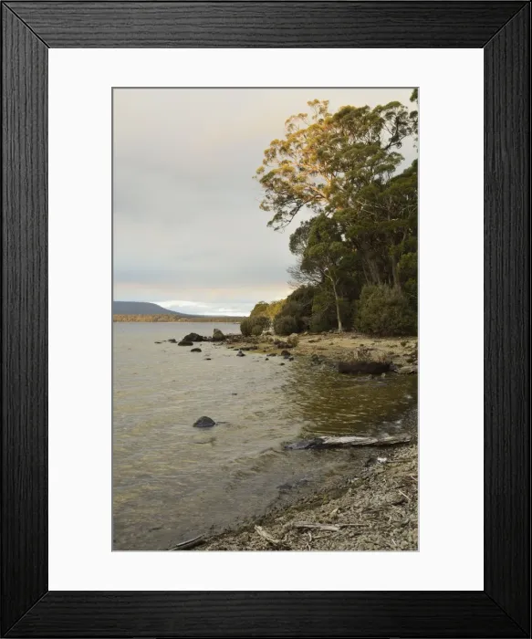 Framed Print : Shore of Lake St Clair Framed Print : Shore of Lake St Clair