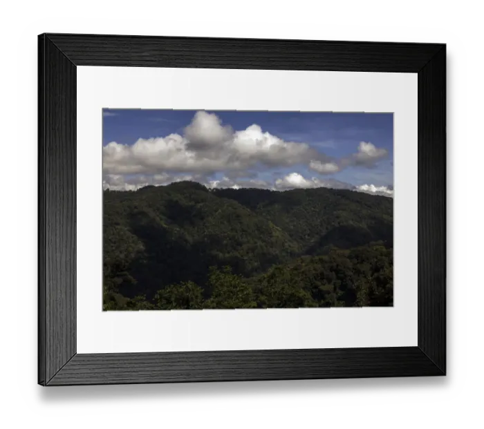 Framed Print : Bwindi Impenetrable National Park, Uganda Framed Print : Bwindi Impenetrable National Park, Uganda