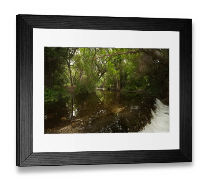 Framed Print : Forest, Baviaans Kloof, Eastern Cape Province, South Africa Framed Print : Forest, Baviaans Kloof, Eastern Cape Province, South Africa