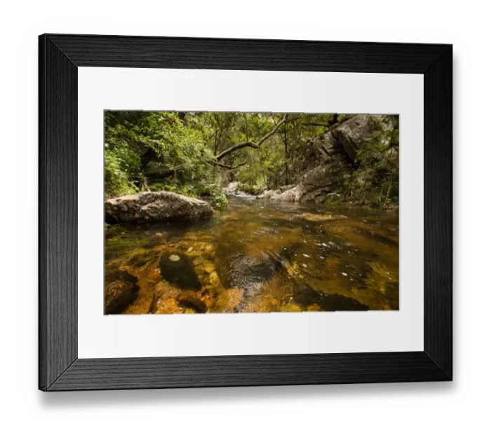 Framed Print : River in forest, Baviaans Kloof, Eastern Cape Province, South Africa Framed Print : River in forest, Baviaans Kloof, Eastern Cape Province, South Africa