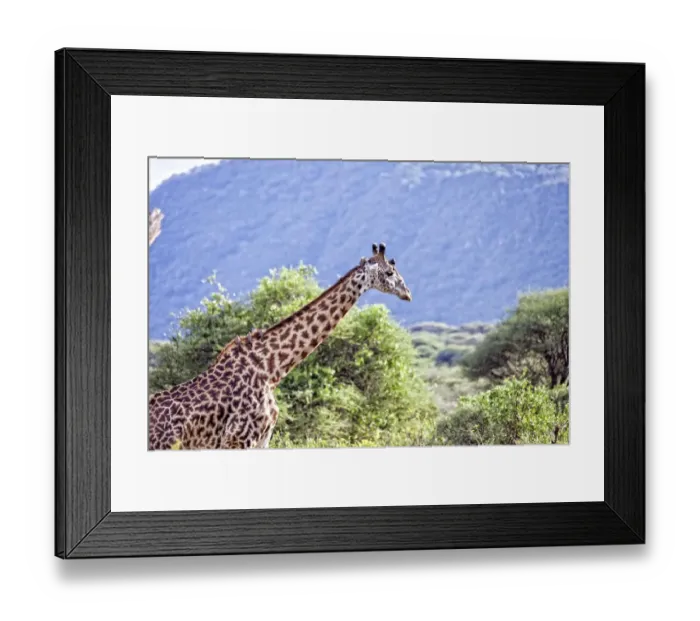 Framed Print : Lake Manyara National Park Safari, Africa Framed Print : Lake Manyara National Park Safari, Africa