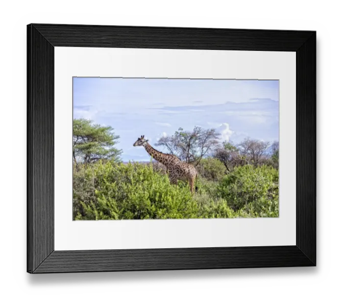 Framed Print : Lake Manyara National Park Safari, Africa Framed Print : Lake Manyara National Park Safari, Africa