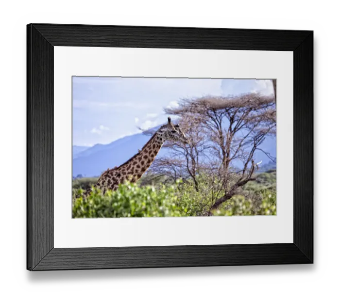 Framed Print : Lake Manyara National Park Safari, Africa Framed Print : Lake Manyara National Park Safari, Africa