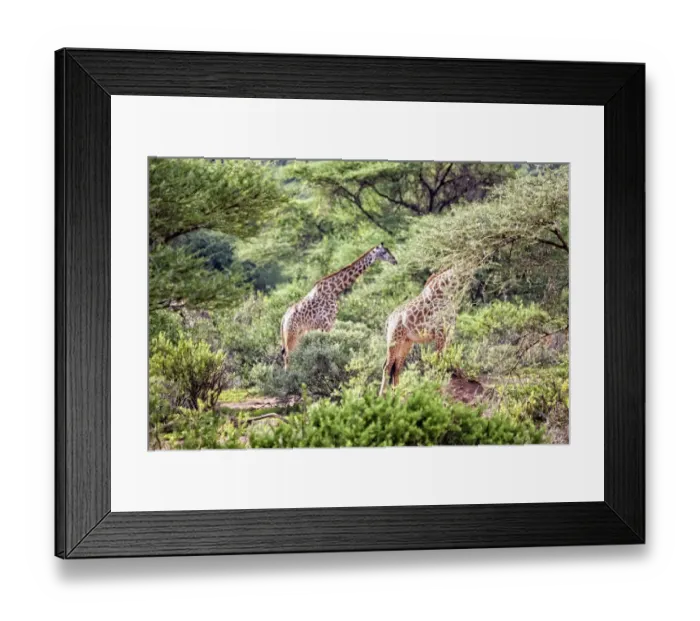 Framed Print : Lake Manyara National Park Safari, Africa Framed Print : Lake Manyara National Park Safari, Africa