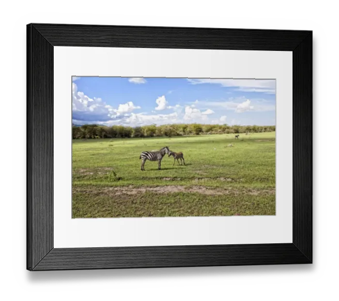 Framed Print : Lake Manyara National Park Safari, Africa Framed Print : Lake Manyara National Park Safari, Africa