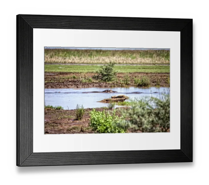 Framed Print : Lake Manyara National Park Safari, Africa Framed Print : Lake Manyara National Park Safari, Africa