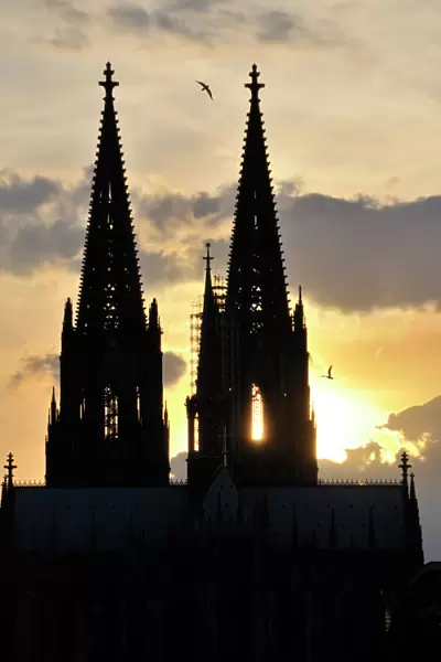 Koelner Dom, Cologne Cathedral at dusk, Cologne, North Rhine-Westphalia, Germany, Europe