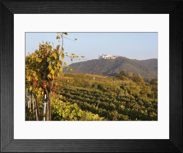 Framed Print : Vineyards, Goettweig Abbey at the back, Wachau valley, Mostviertel region, Lower Austria, Austria, Europe Framed Print : Vineyards, Goettweig Abbey at the back, Wachau valley, Mostviertel region, Lower Austria, Austria, Europe