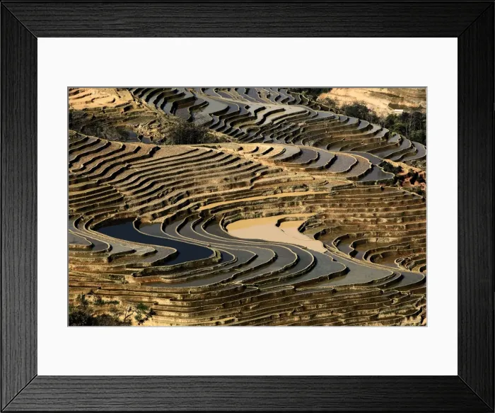 Framed Print : Bada Terrace pattern Framed Print : Bada Terrace pattern