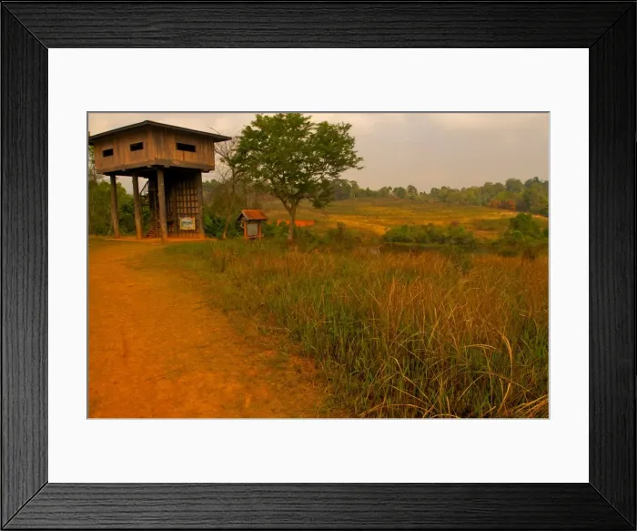 Framed Print : Khao Yai National Park Framed Print : Khao Yai National Park