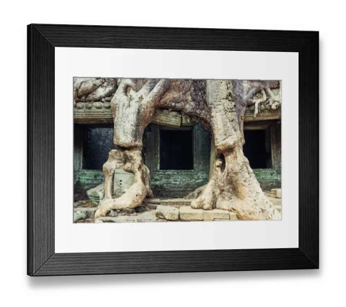 Framed Print : Preah Khan temple covered by strangler fig tree Framed Print : Preah Khan temple covered by strangler fig tree