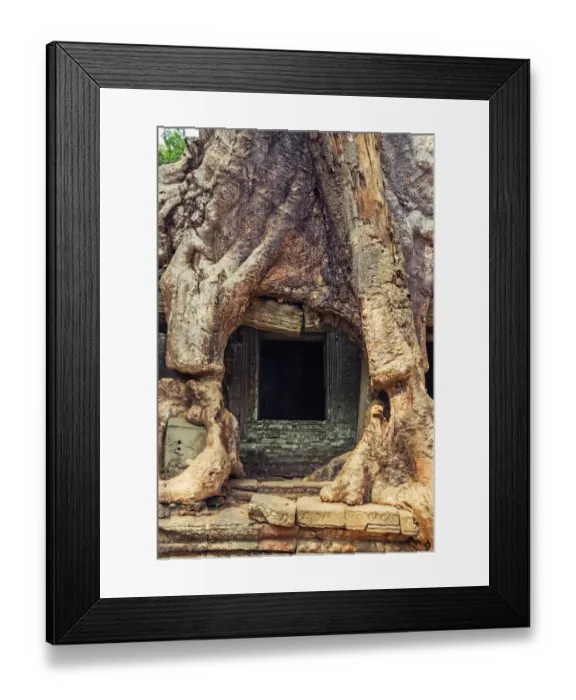 Framed Print : Preah Khan temple covered by strangler fig tree Framed Print : Preah Khan temple covered by strangler fig tree