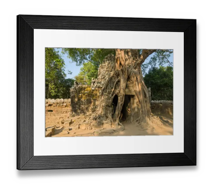 Framed Print : Ta Som temple entrance with strangler fig Framed Print : Ta Som temple entrance with strangler fig