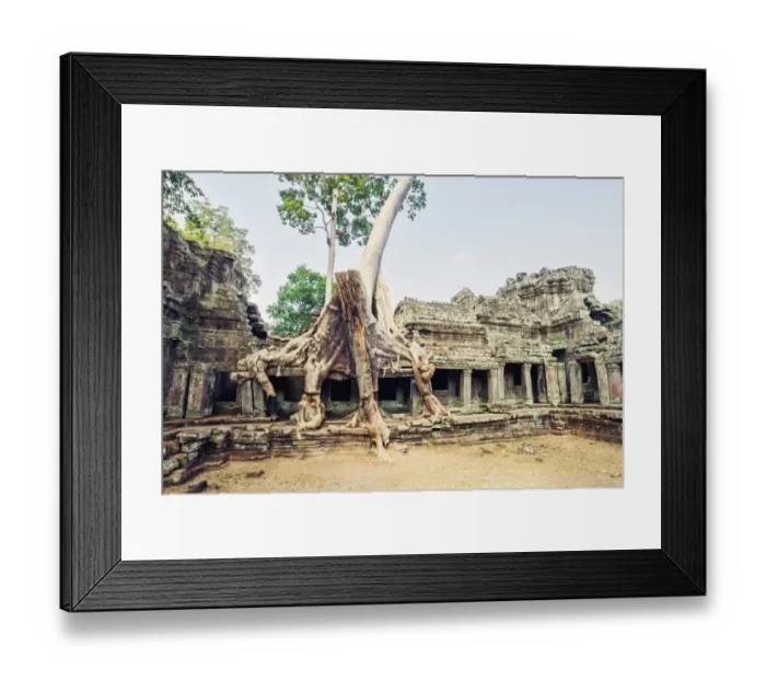 Framed Print : Preah Khan temple covered by strangler fig tree Framed Print : Preah Khan temple covered by strangler fig tree