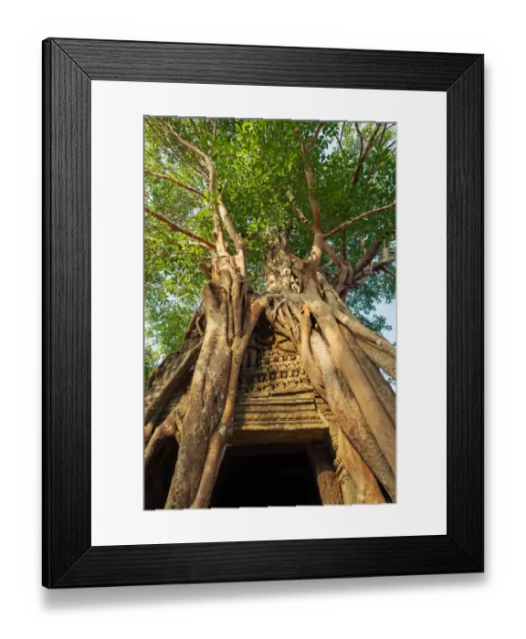 Framed Print : Ta Som temple entrance with strangler fig Framed Print : Ta Som temple entrance with strangler fig