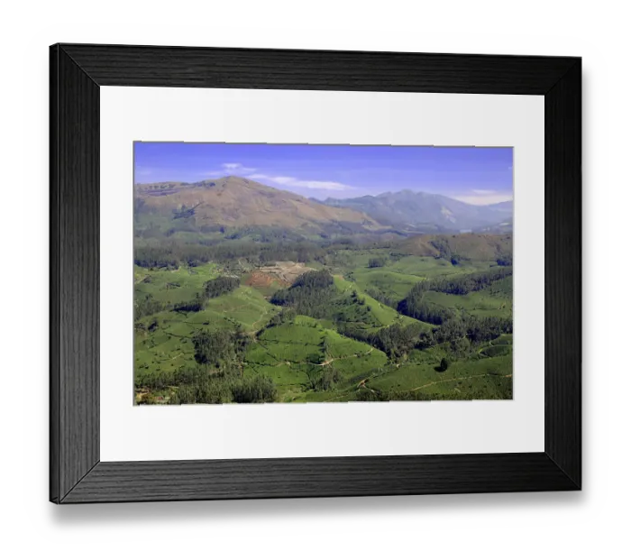 Framed Print : Tea hills and mountains in Munnar, Kerala, India Framed Print : Tea hills and mountains in Munnar, Kerala, India