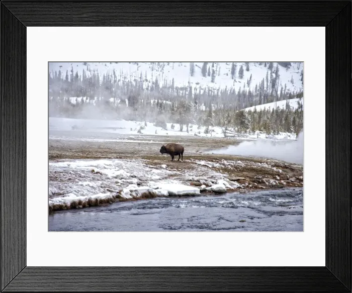 Framed Print : Geyser, Yellowstone National Park Framed Print : Geyser, Yellowstone National Park