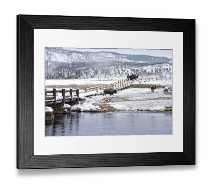 Framed Print : Geyser, Yellowstone National Park Framed Print : Geyser, Yellowstone National Park