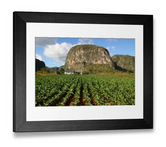 Framed Print : ViAnales Valley, tobacco plantation Framed Print : ViAnales Valley, tobacco plantation