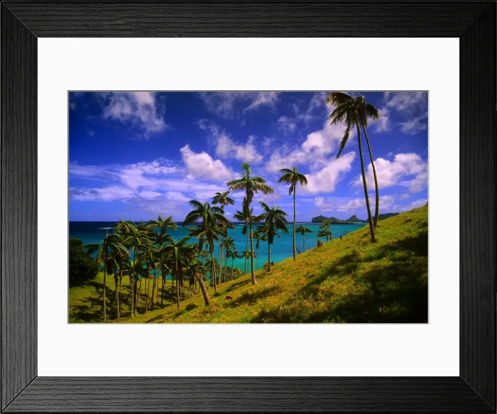Framed Print : Lord Howe Island, majestic and scenically wonderful, is part of New South Wales, Australia Framed Print : Lord Howe Island, majestic and scenically wonderful, is part of New South Wales, Australia