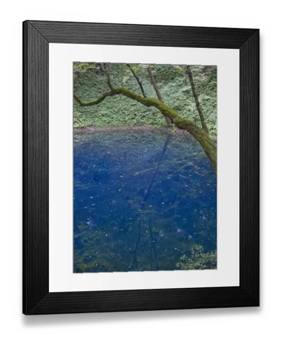 Framed Print : Aoike (Blue Pond), One of the Twelve Lakes in Shirakami-Sanchi Framed Print : Aoike (Blue Pond), One of the Twelve Lakes in Shirakami-Sanchi