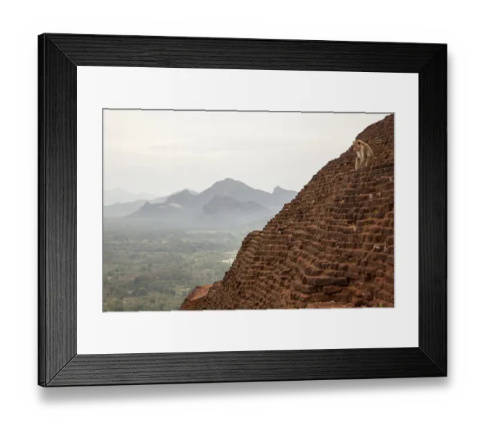 Framed Print : Monkey resting in one temples of Sigiriya Framed Print : Monkey resting in one temples of Sigiriya