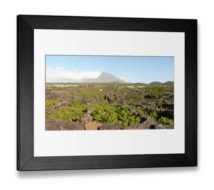 Framed Print : Vineyards and Pico volcano in Pico island (Azores) Framed Print : Vineyards and Pico volcano in Pico island (Azores)