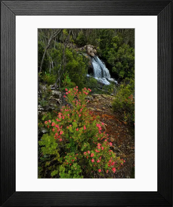 Framed Print : Running stream in the Hartz mountains national park, part of the world heritage wilderness, Tasmania Framed Print : Running stream in the Hartz mountains national park, part of the world heritage wilderness, Tasmania