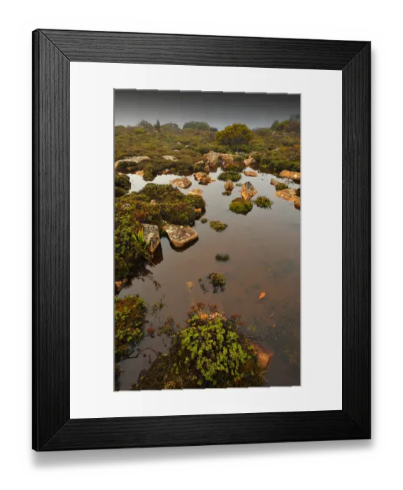 Framed Print : Running stream in the Hartz mountains national park, part of the world heritage wilderness, Tasmania Framed Print : Running stream in the Hartz mountains national park, part of the world heritage wilderness, Tasmania