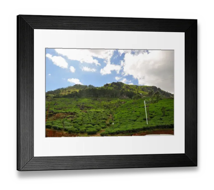 Framed Print : Munnar hill station located in the western Ghats of Idukki district of Kerala Framed Print : Munnar hill station located in the western Ghats of Idukki district of Kerala