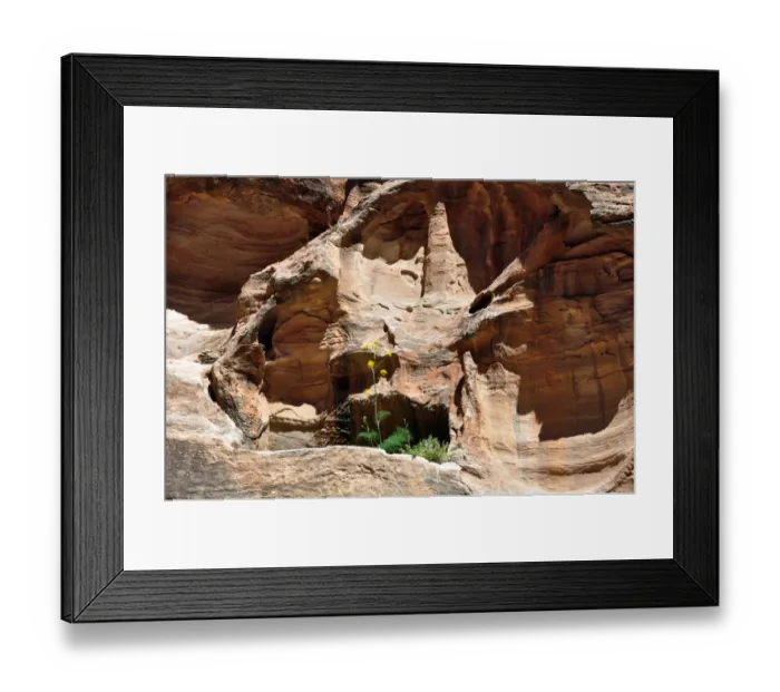 Framed Print : Petra Jordan Framed Print : Petra Jordan