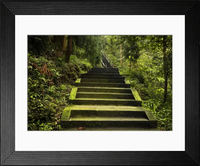 Framed Print : Emei Shan Trail Framed Print : Emei Shan Trail