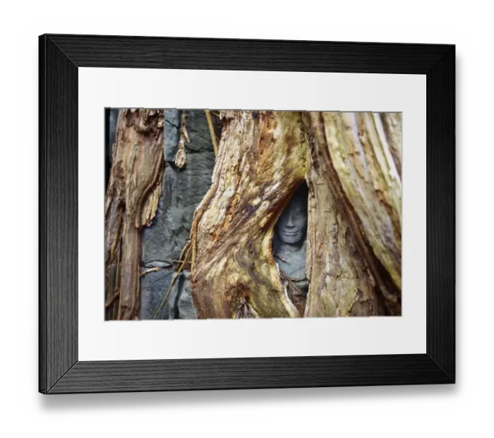 Framed Print : Godhead hidden between roots in Angkor Wat Framed Print : Godhead hidden between roots in Angkor Wat