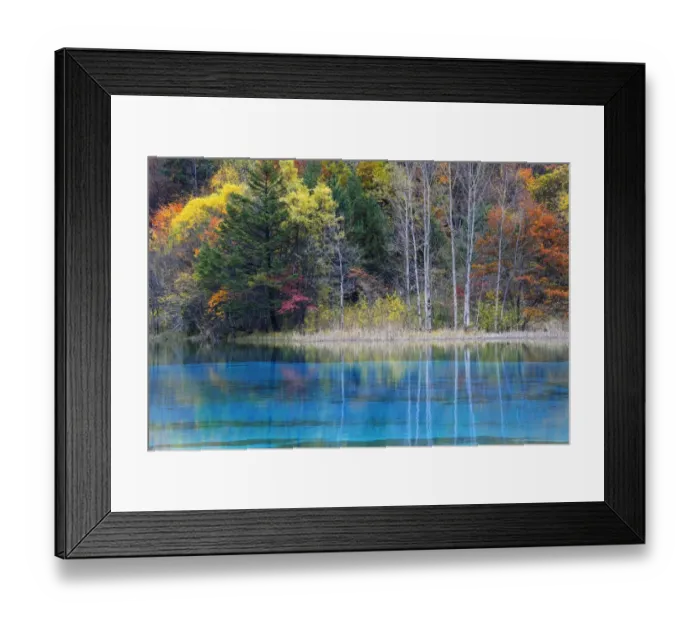 Framed Print : Colorful forest at peacock lake in autumn