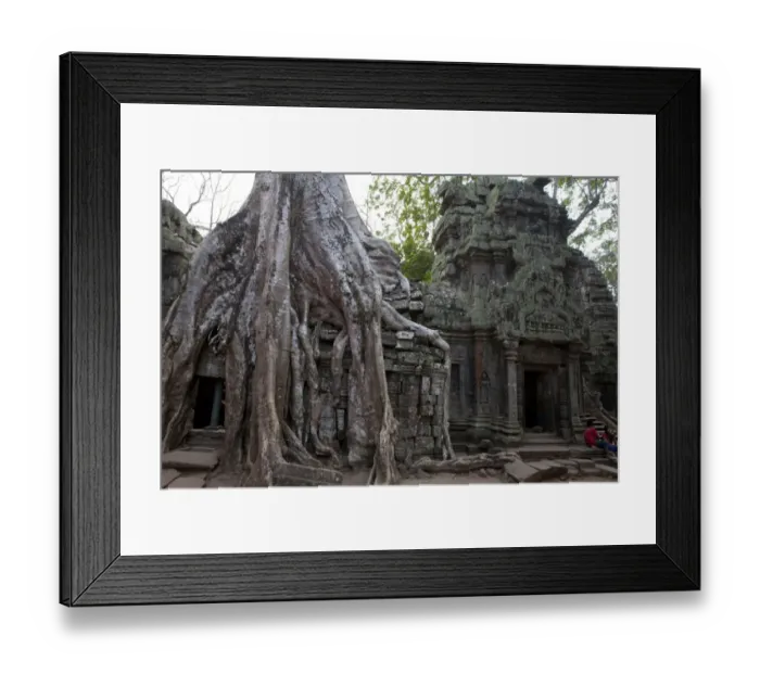Framed Print : Overgrown Banyan Tree at Ta Prohm Framed Print : Overgrown Banyan Tree at Ta Prohm