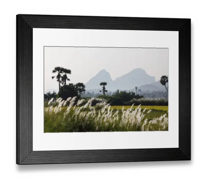 Framed Print : Western Ghats, Courtallam, Tamil Nadu, Tamilnadu, South India, India, Asia Framed Print : Western Ghats, Courtallam, Tamil Nadu, Tamilnadu, South India, India, Asia
