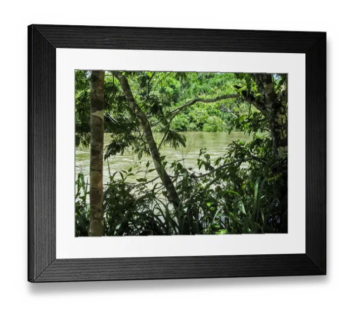 Framed Print : River seen through the lush vegetation, Argentina Framed Print : River seen through the lush vegetation, Argentina