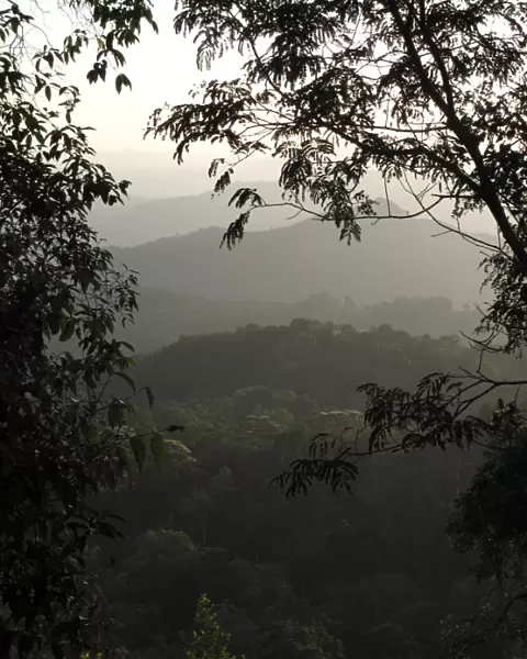 Western Ghats, Munnar, Kerala