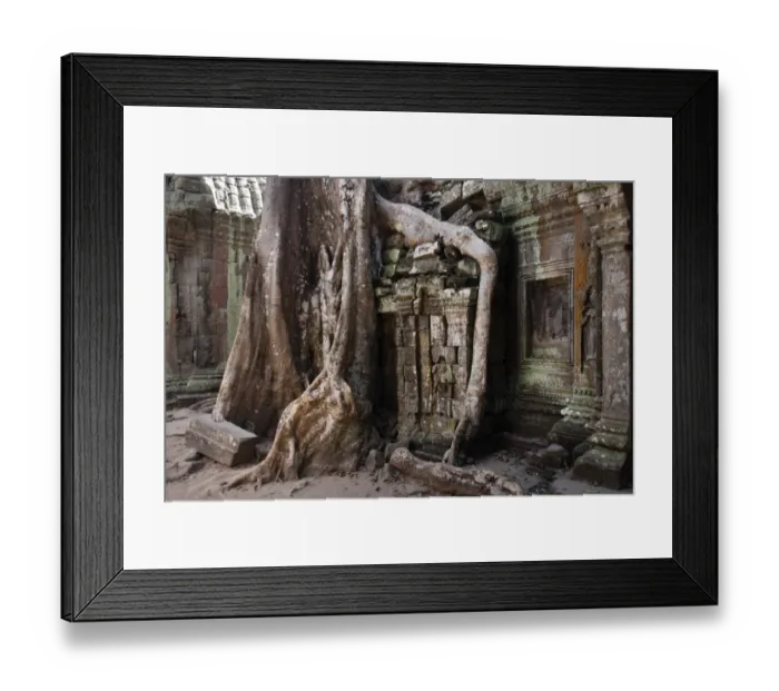 Framed Print : Giant Tetrameles nudiflora tree roots in the courtyard, Ta Prohm Temple, UNESCO World Heritage Site, Angkor, Siem Reap, Cambodia