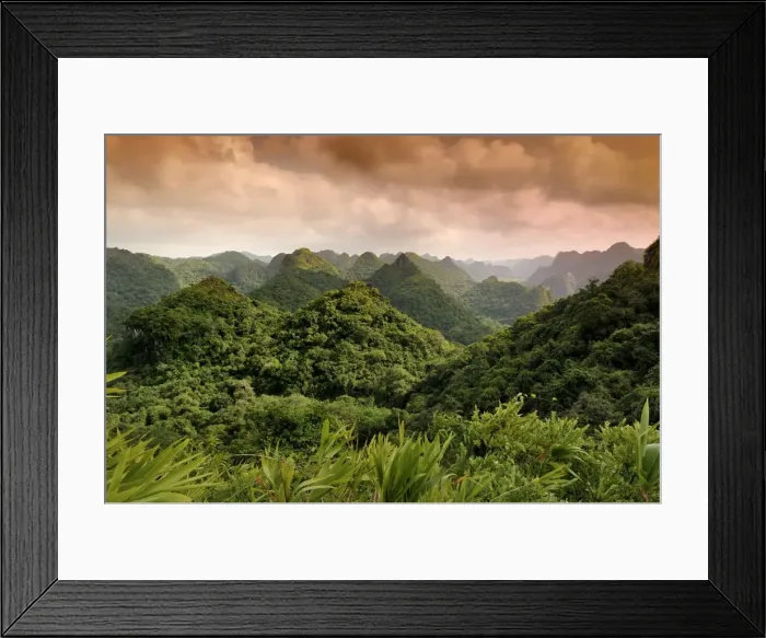 Framed Print : Cat Ba National Park, view from the Ngu Lam peak, Kim Giao forest, UNESCO Biosphere Reserve, Vietnam, Southeast Asia Framed Print : Cat Ba National Park, view from the Ngu Lam peak, Kim Giao forest, UNESCO Biosphere Reserve, Vietnam, Southeast Asia