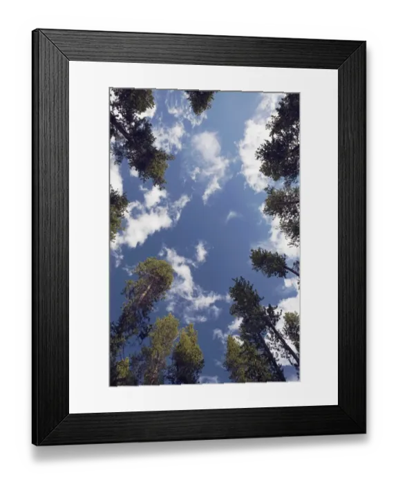 Framed Print : Banff National Park, Alberta, Canada Framed Print : Banff National Park, Alberta, Canada