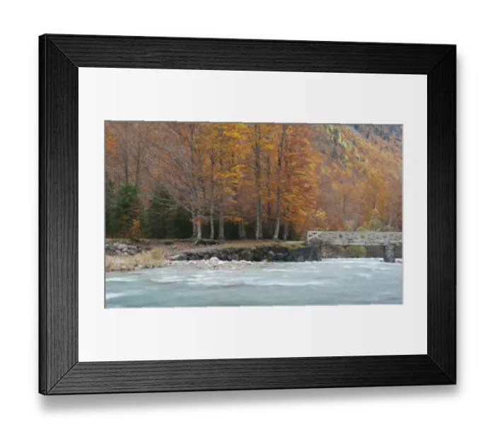 Framed Print : Fall colors Framed Print : Fall colors