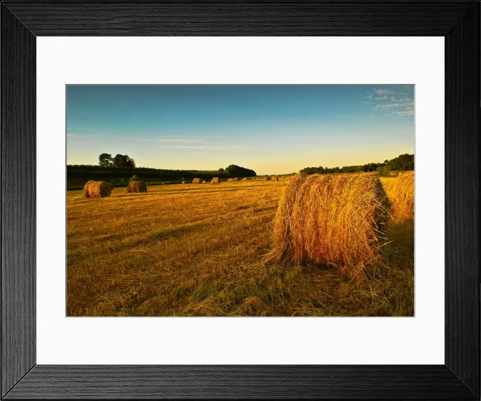 Framed Print : Days End. The waning rays of the sun illuminate a freshly-baled hay field Framed Print : Days End. The waning rays of the sun illuminate a freshly-baled hay field