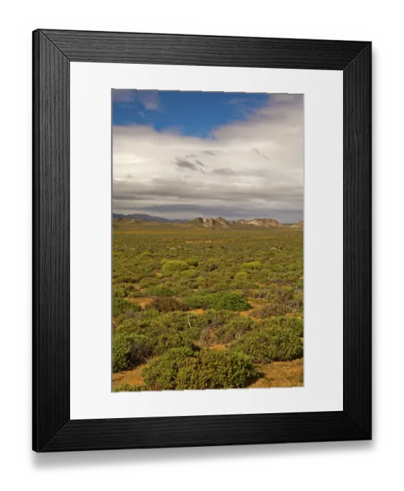 Framed Print : Nama Karoo low-shrub vegetation area, Richtersveld, Northern Cape Province, South Africa