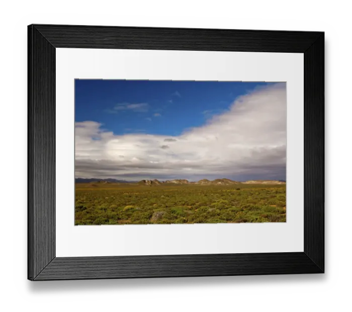 Framed Print : Nama Karoo low-shrub vegetation area, Richtersveld, Northern Cape Province, South Africa Framed Print : Nama Karoo low-shrub vegetation area, Richtersveld, Northern Cape Province, South Africa