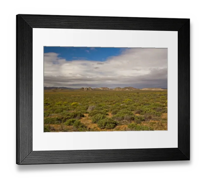 Framed Print : Nama Karoo low-shrub vegetation area, Richtersveld, Northern Cape Province, South Africa Framed Print : Nama Karoo low-shrub vegetation area, Richtersveld, Northern Cape Province, South Africa