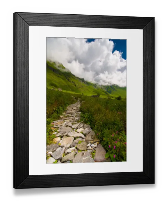 Framed Print : Garden in the clouds Framed Print : Garden in the clouds