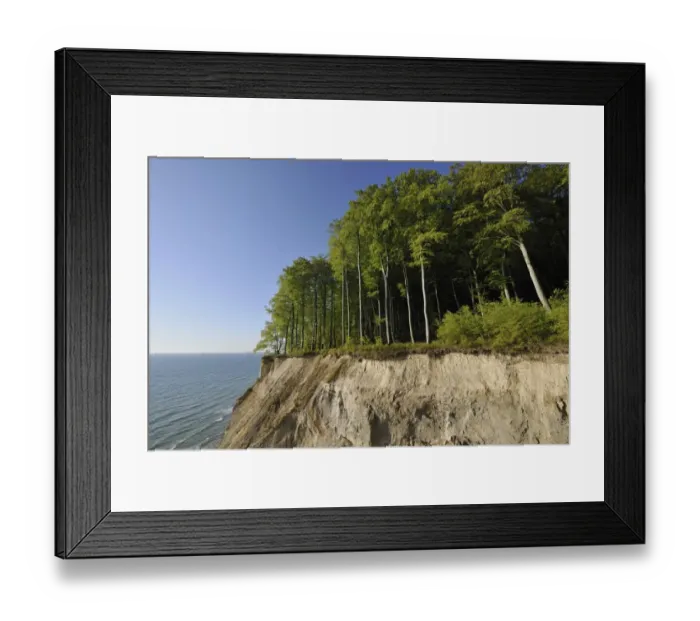 Framed Print : Chalk cliffs and Beech -Fagus sylvatica- forest, UNESCO World Natural Heritage Site, Jasmund National Park, Ruegen, Mecklenburg-Western Pomerania, Germany Framed Print : Chalk cliffs and Beech -Fagus sylvatica- forest, UNESCO World Natural Heritage Site, Jasmund National Park, Ruegen, Mecklenburg-Western Pomerania, Germany