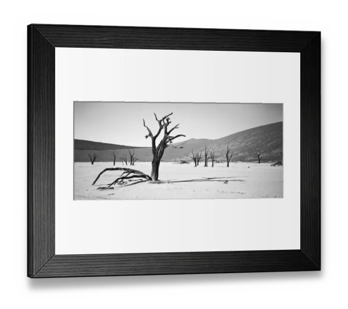 Framed Print : Camel thorn -Acacia erioloba-, Dead Vlei, Sossusvlei, Namib-Naukluft National Park, Namibia, Africa Framed Print : Camel thorn -Acacia erioloba-, Dead Vlei, Sossusvlei, Namib-Naukluft National Park, Namibia, Africa
