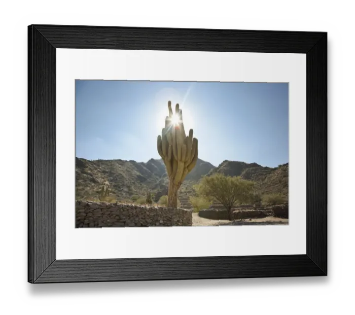 Framed Print : ruins of Quilmes Framed Print : ruins of Quilmes